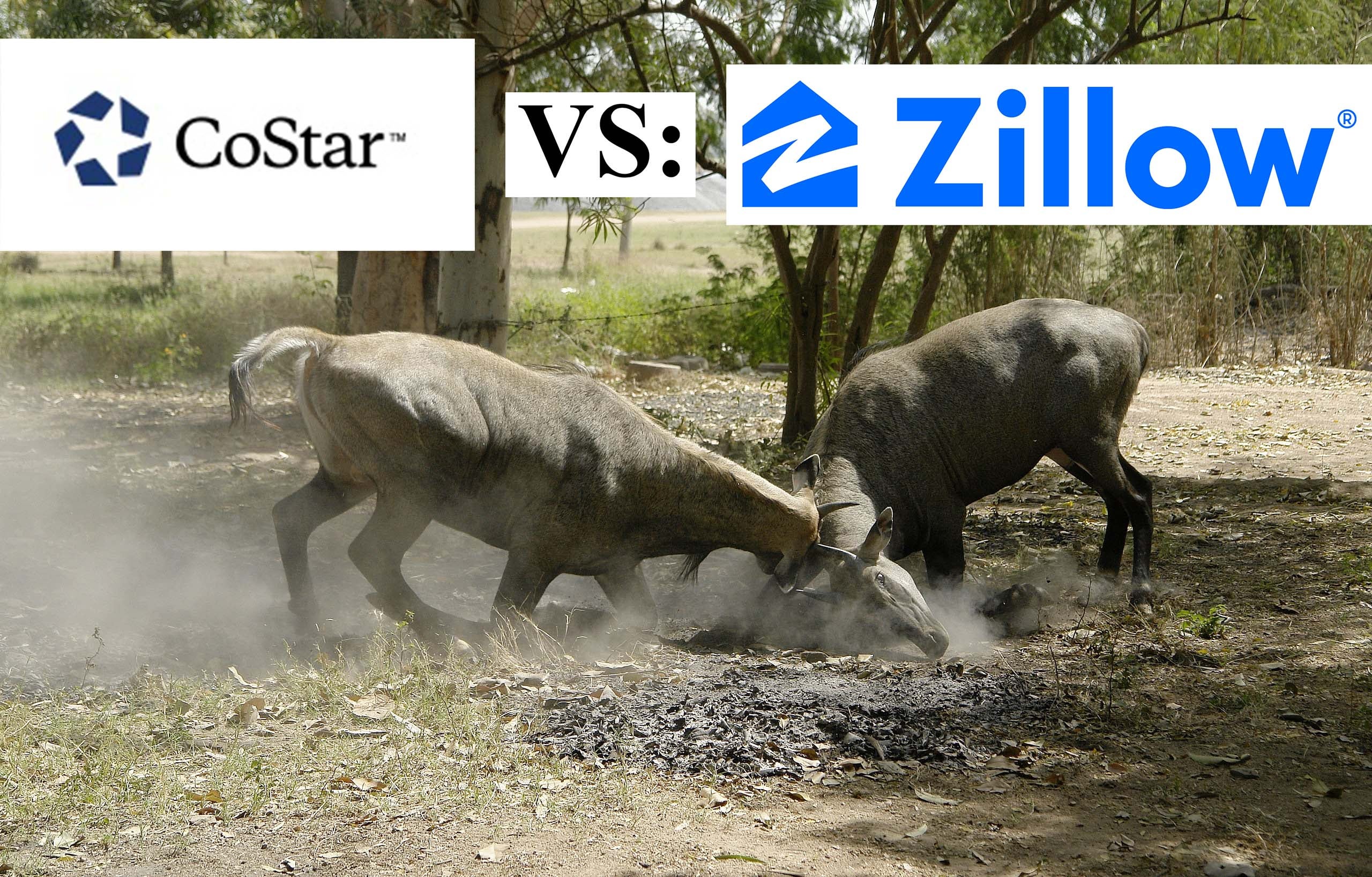 Costar Verses Zillow
