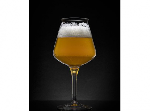 ipa