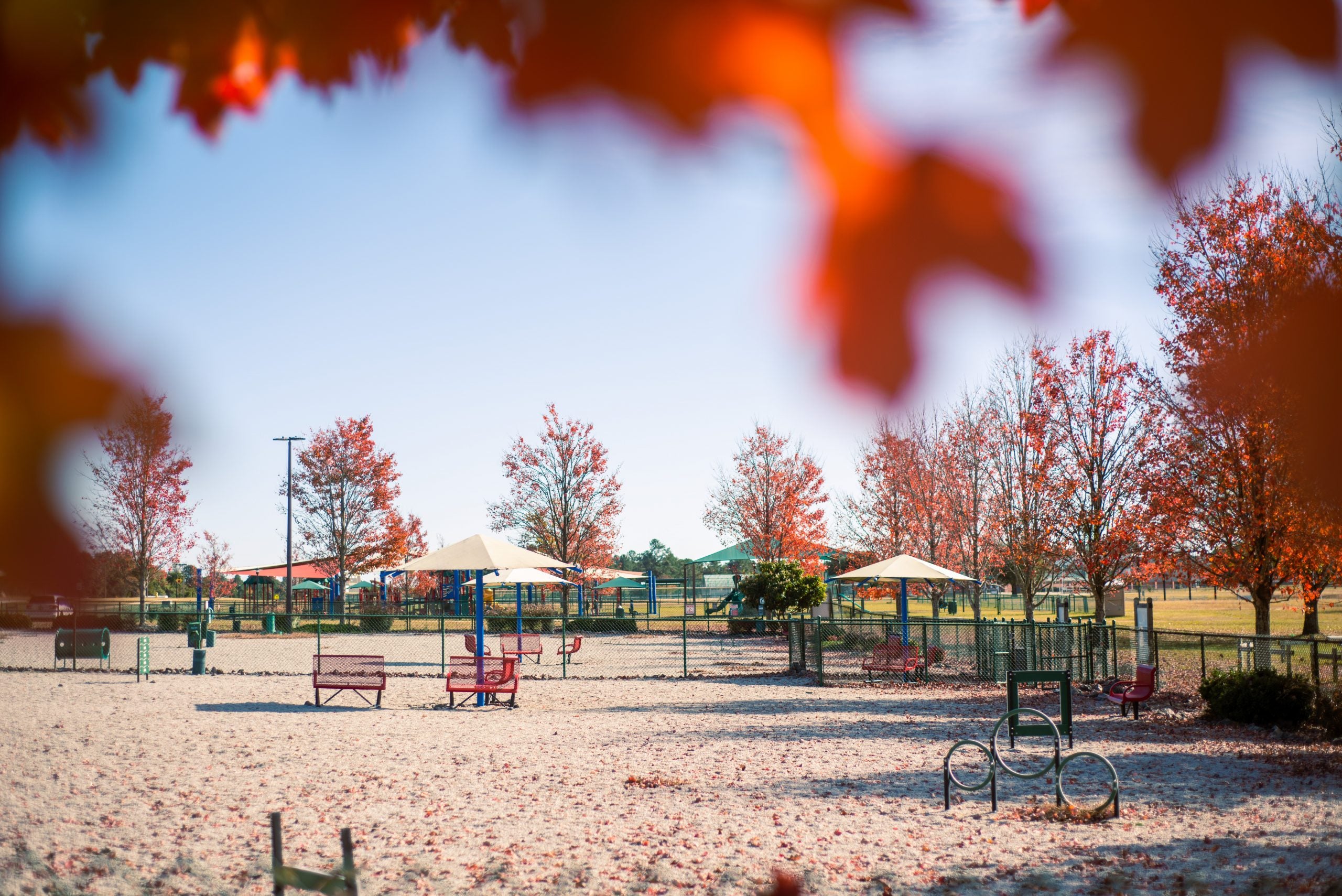 Photojournalism: Autumn on Fort Gordon The Augusta Press