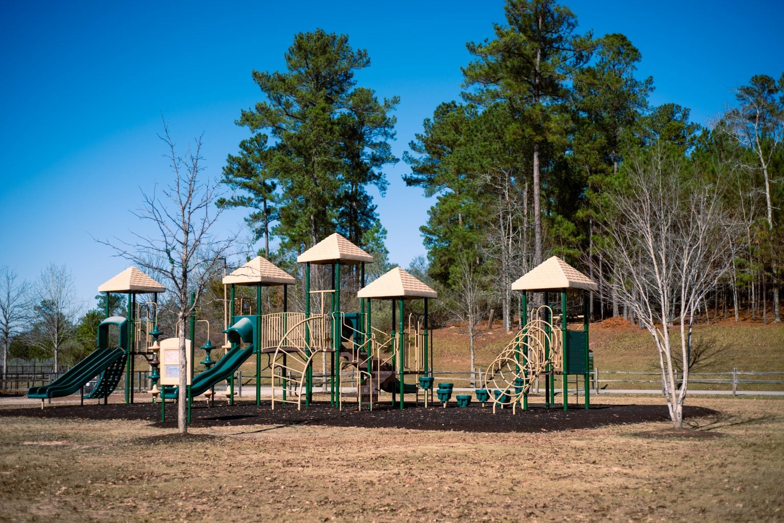 Photojournalism Blanchard Woods Park The Augusta Press