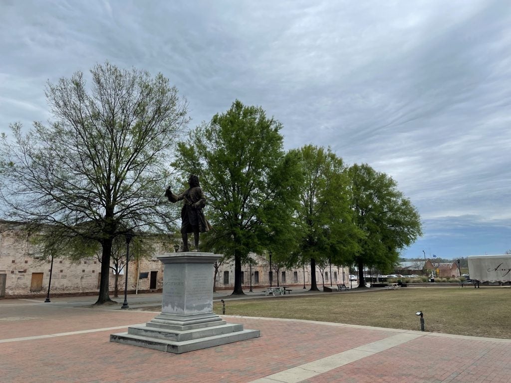 Tree cutting at Augusta Common causes controversy The Augusta Press