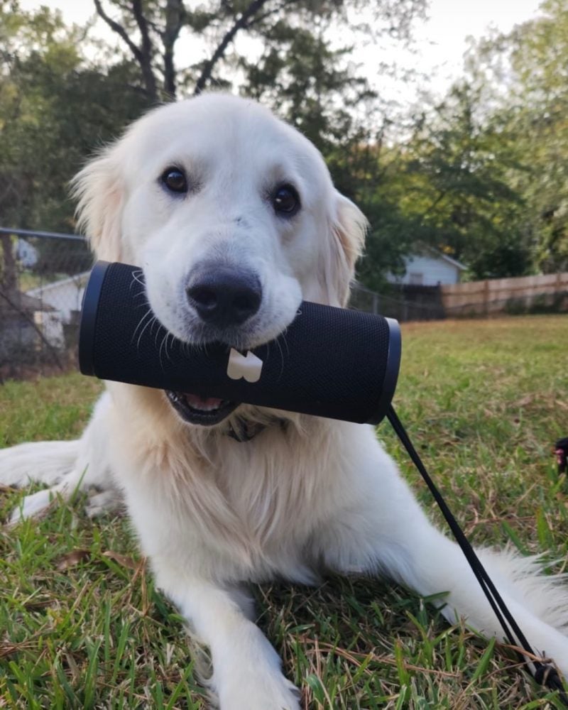 Local businessman runs with the big dogs The Augusta Press