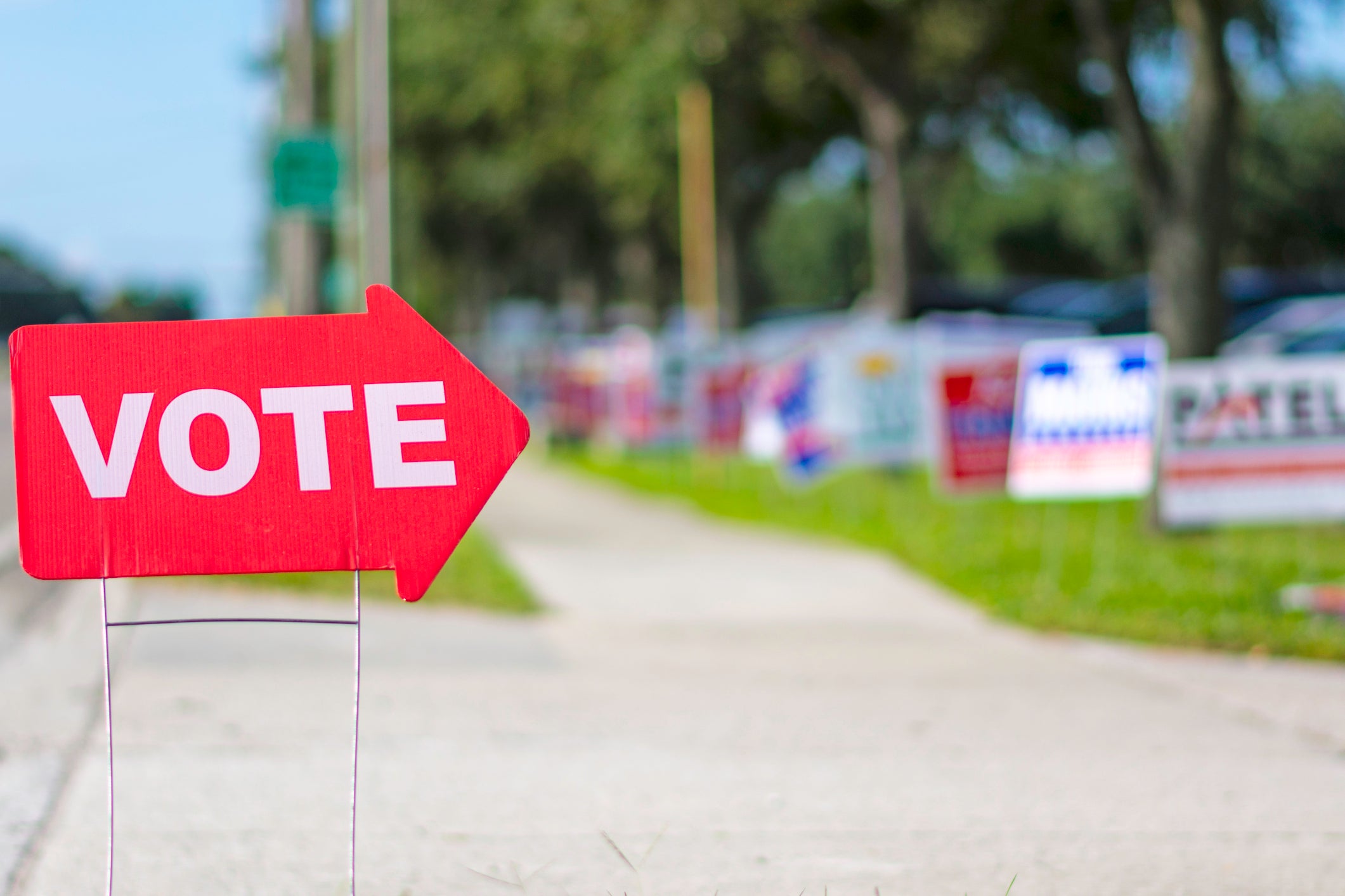 Two are now in the running to represent District 6 on the Richmond County Board of Education with the withdrawal of William Johnson. Two are running for mayor and three for a council seat in Blythe.