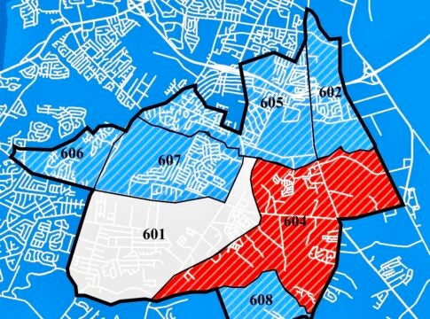 Turnout was under 1% in the special election for District 6 on the Richmond County Board of Education but produced a winner in Ed Lowery.
