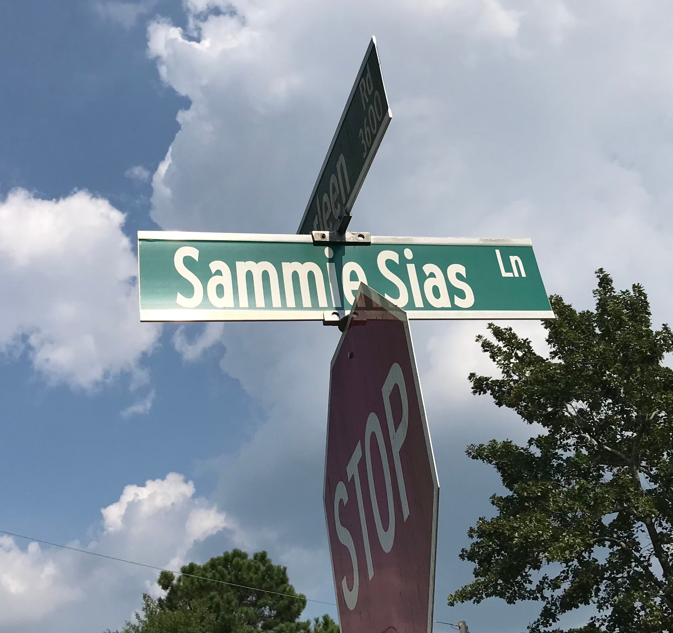 This is one of two signs designating a driveway through Jamestown Community Center as "Sammie Sias Lane." Staff photo by Susan McCord