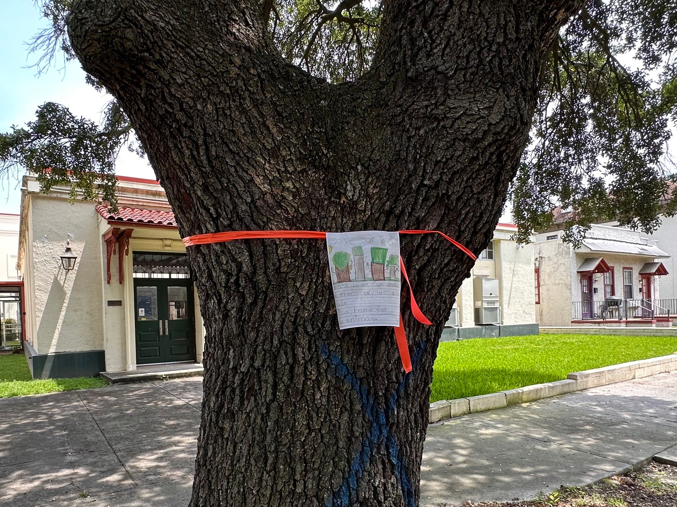 A hand-drawn sign Wednesday asks Augusta to "save our trees" on Greene Street. But by mid-afternoon, this 100-year-old oak in the 300 block was a casualty of local implementation of the Transportation Investment Act. Staff photo by Susan McCord