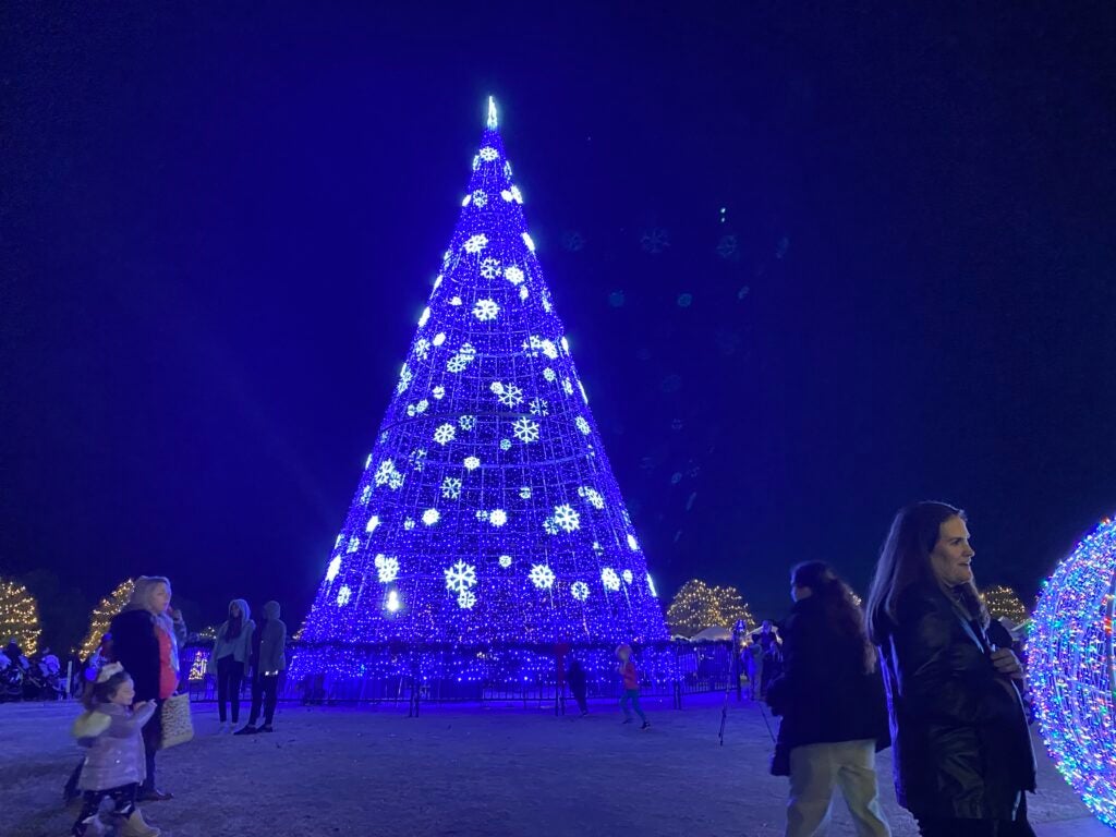 Photojournalism Columbia County's Christmas tree lit The Augusta Press