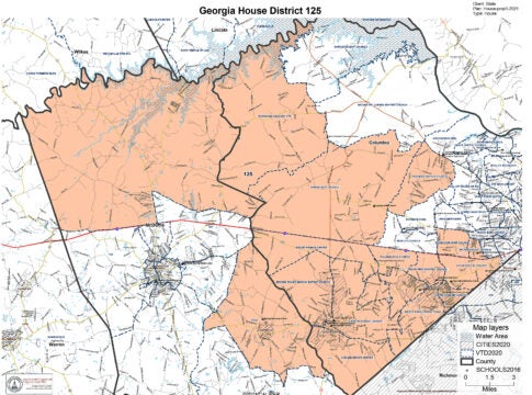 Georgia House District 125