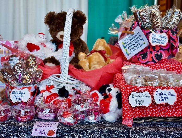 Augusta Home and Garden Show amazes with dozens of vendors The