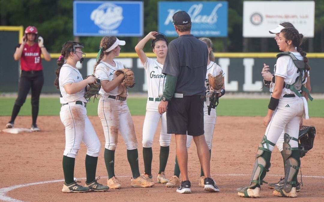 picture of greenbrier's softball team