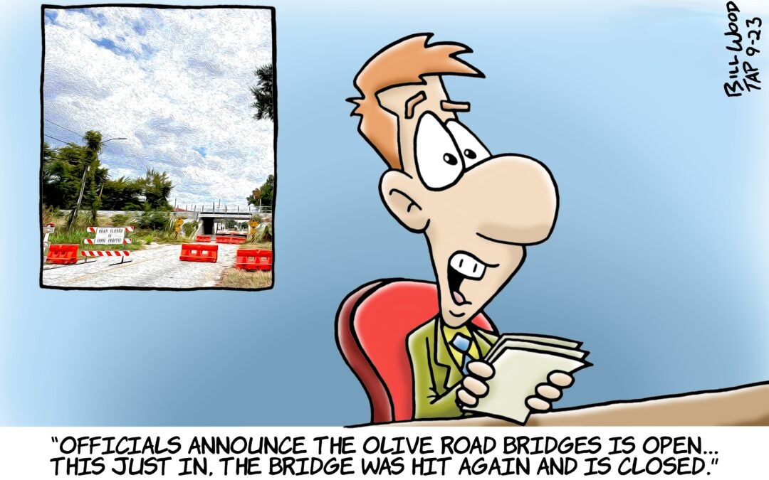 B.J. Wood editorial cartoon