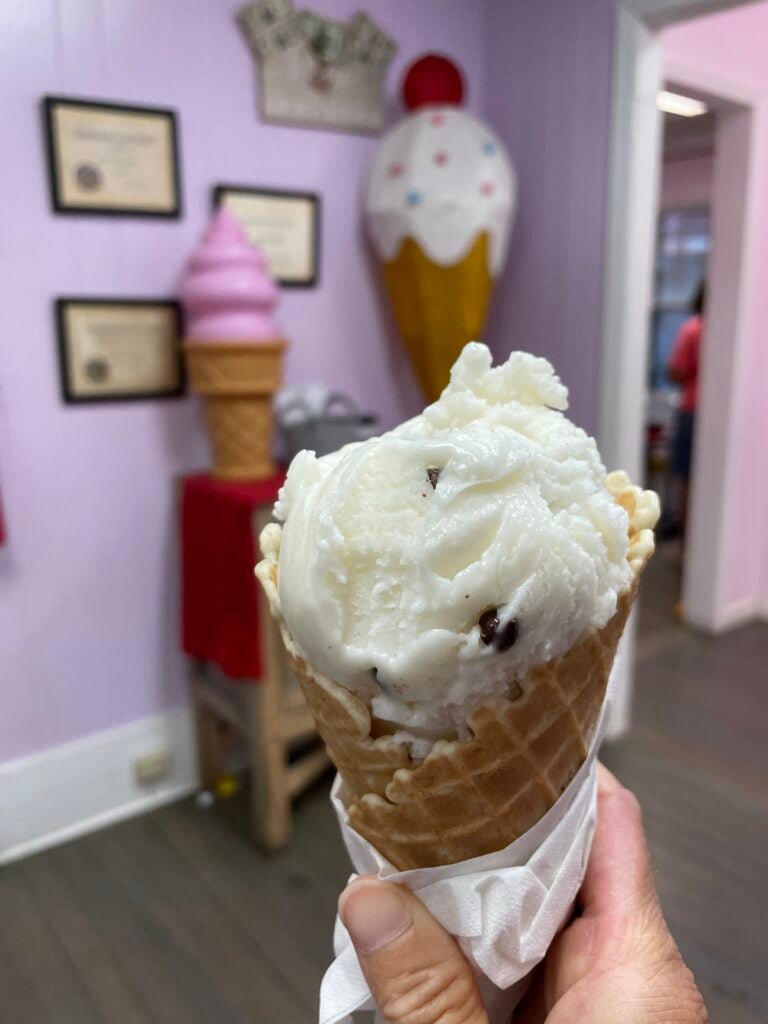 Dine and Dish: Neon Fig