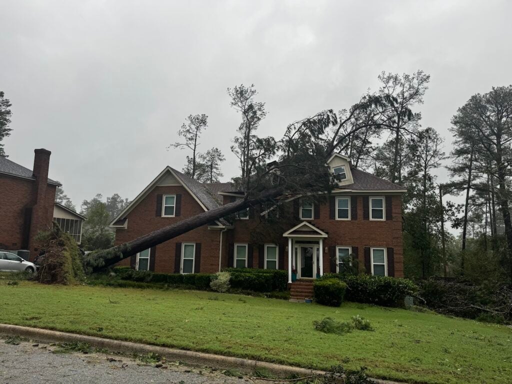 A tree fell on a house following Hurricane Helene. Photo by Sanjeev Singhal