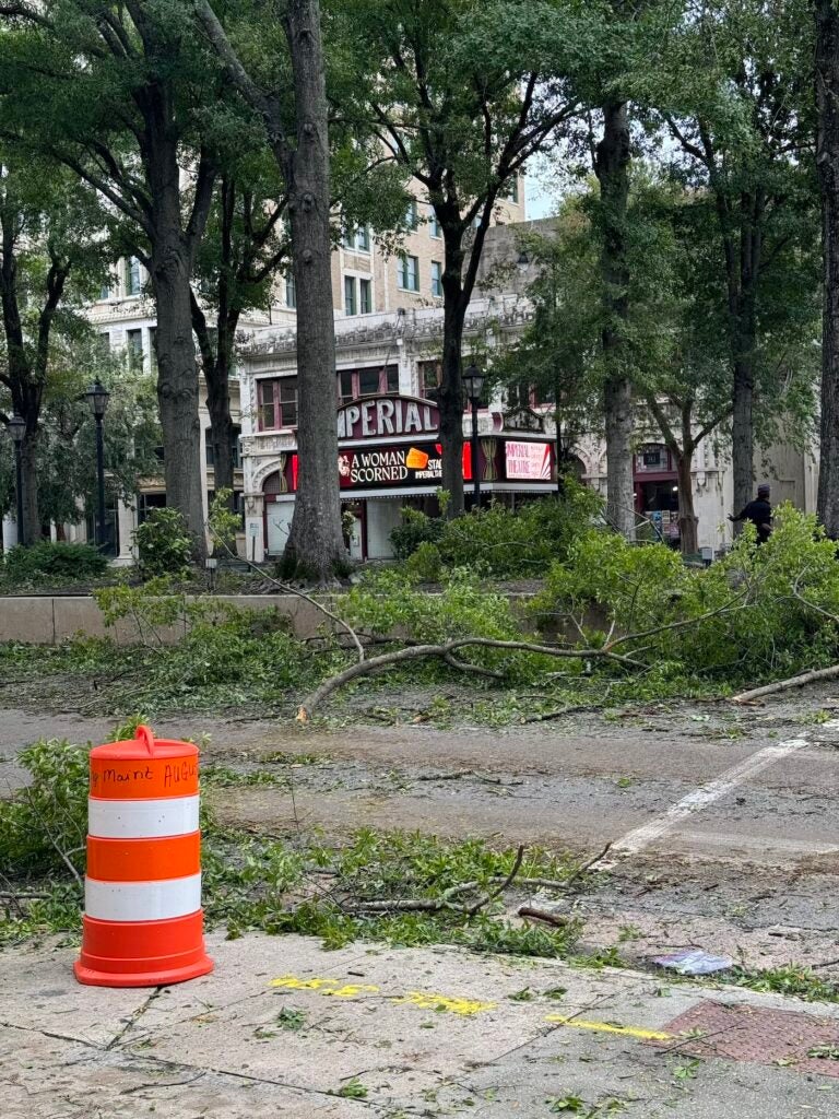 Trees fell on Broad Street in front of the Imperial Theatre.