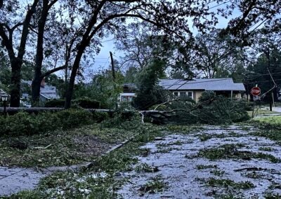 A large pine lies across Russell Street after Hurricane Helene. Staff photo by Susan McCord