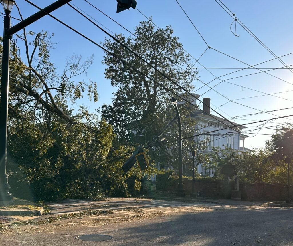 Trees block Walton Way after Hurricane Helene. Staff photo by Susan McCord