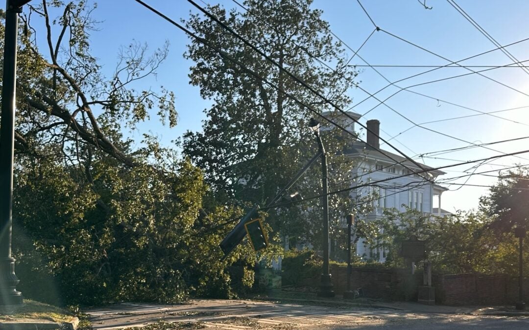 Trees block Walton Way after Hurricane Helene. Staff photo by Susan McCord