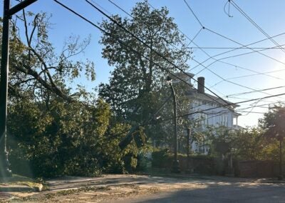Trees block Walton Way after Hurricane Helene. Staff photo by Susan McCord