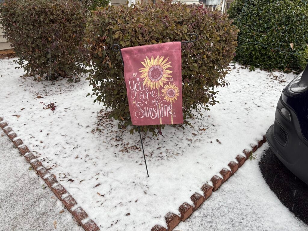 Snow came down in Columbia County on Friday, Jan. 10, 2025. Staff photo by Stephanie Hill