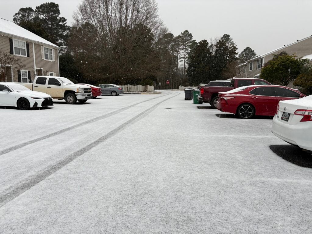 Snow came down in Columbia County on Friday, Jan. 10, 2025. Staff photo by Stephanie Hill
