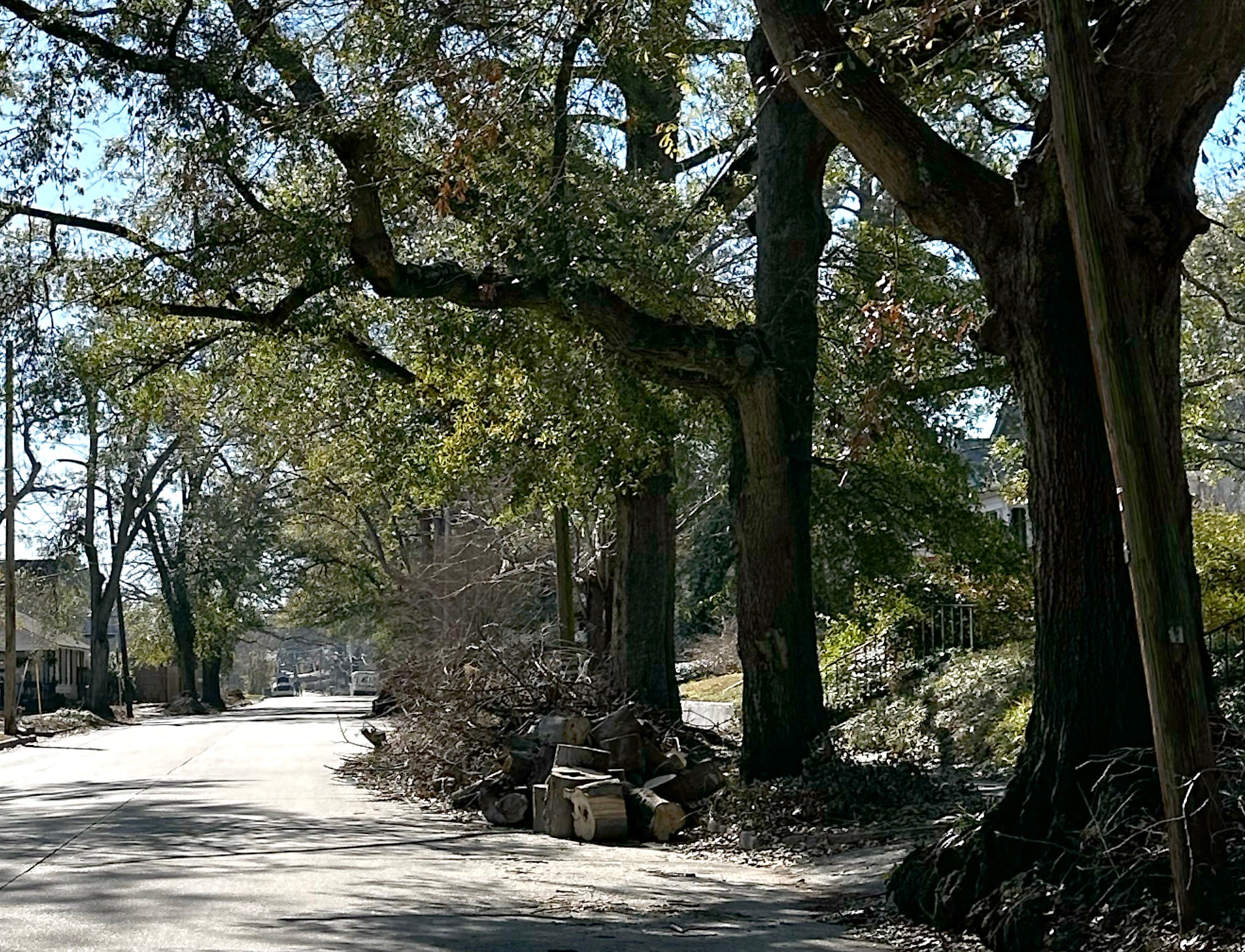 Remaining piles of debris such as this one on Heard Avenue may be removed in the debris removal "final pass" set to begin Monday in Augusta. Staff photo by Susan McCord