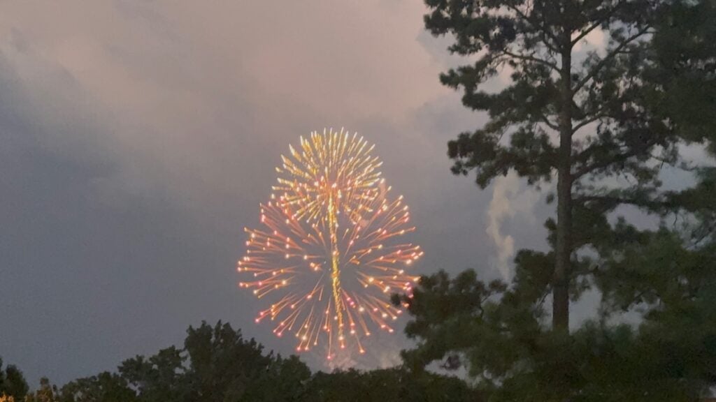 Fireworks lit up the night sky at BOOM! in the Park. Staff photo by Stephanie Hill