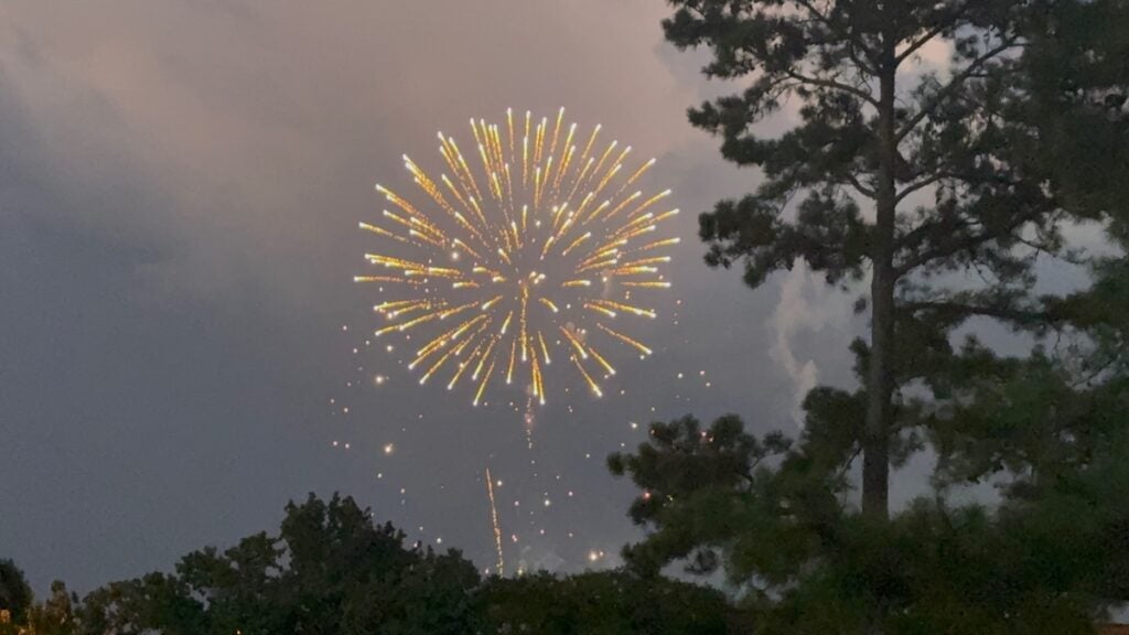 Fireworks lit up the night sky at BOOM! in the Park. Staff photo by Stephanie Hill