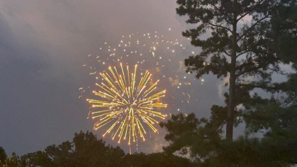 Fireworks lit up the night sky at BOOM! in the Park. Staff photo by Stephanie Hill