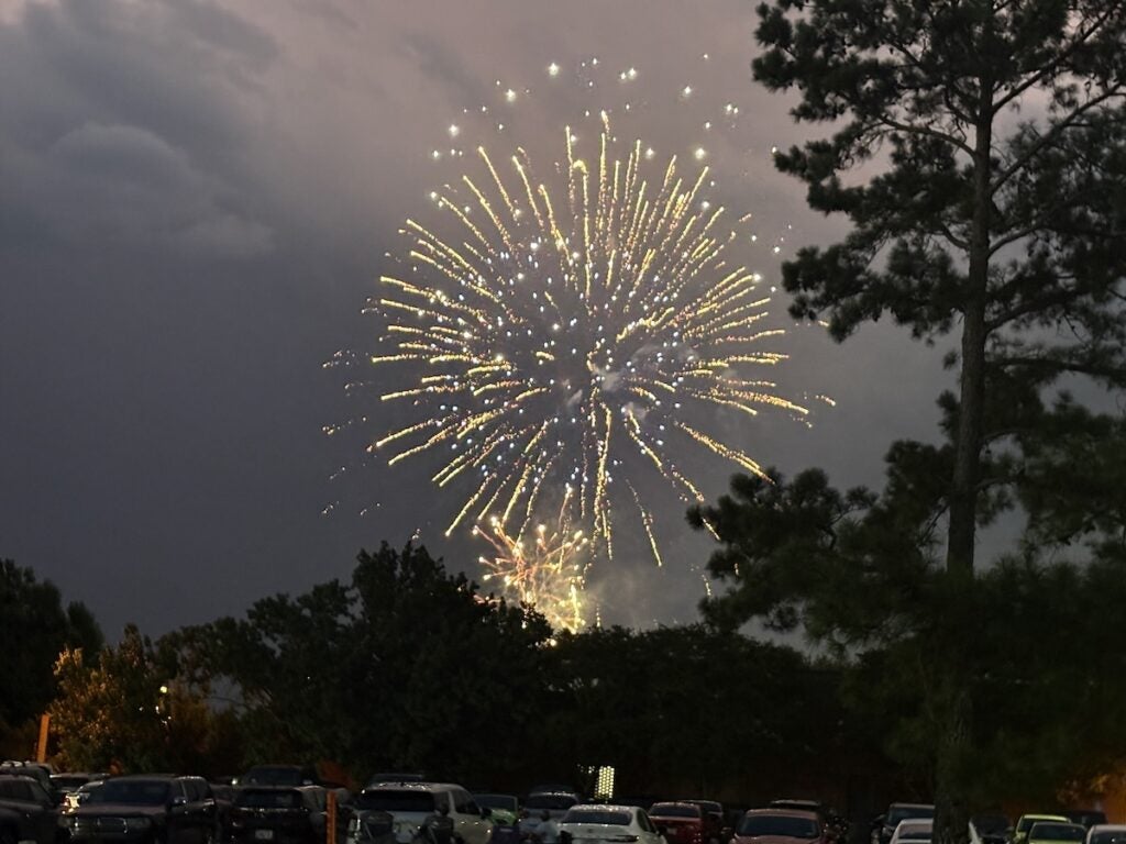Fireworks lit up the night sky at BOOM! in the Park. Staff photo by Stephanie Hill