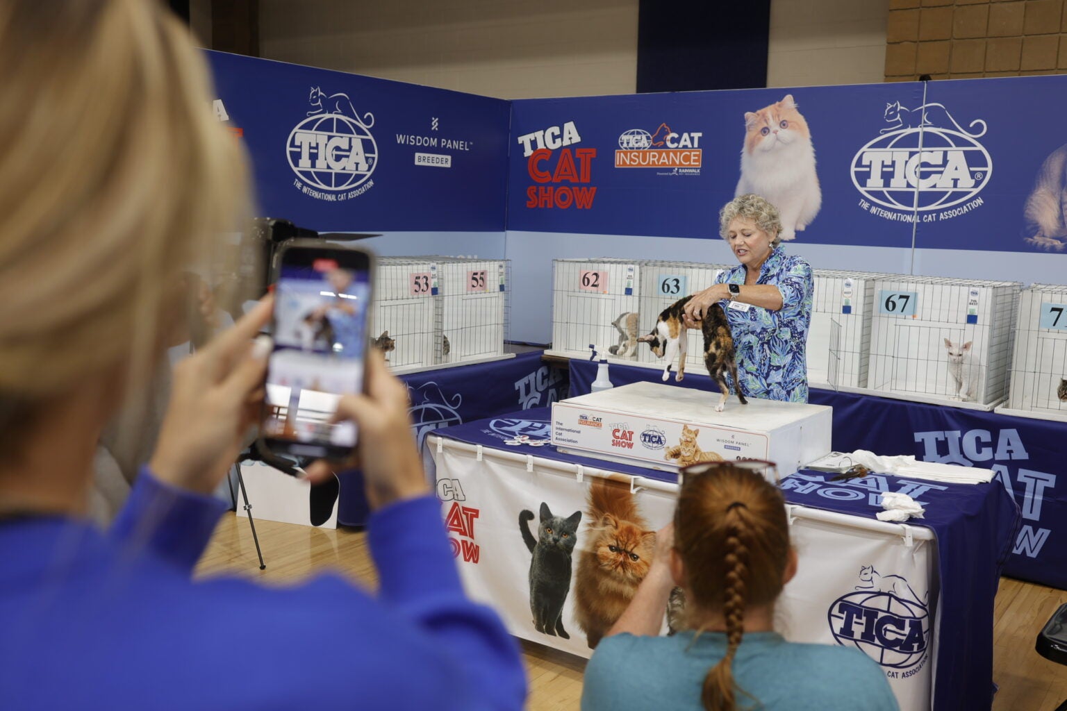 The International Cat Association judging at the Cat Show and Adoption Event in North Augusta. Photo by Randy Pace