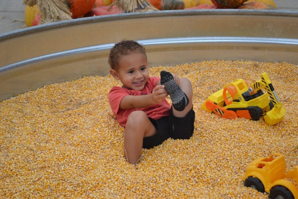 Miles Quinones, 3, had a fun time playing in the corn kernels pit at Good Earth. Staff photo by Stephanie Hill