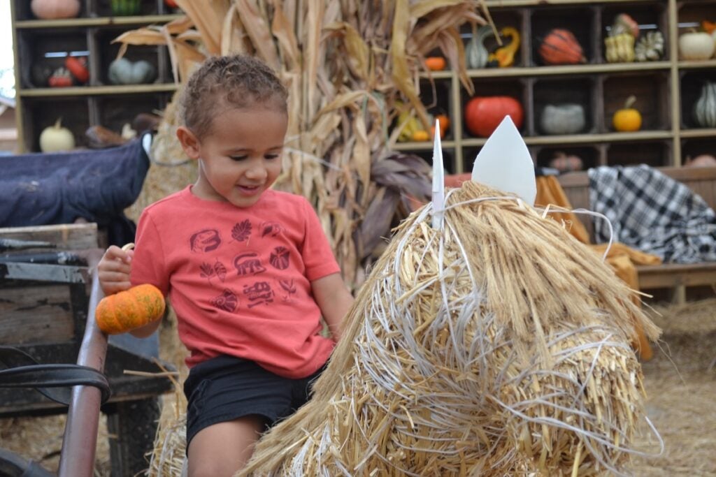 Miles Quinones, 3, was all smiles on the hay horse at Good Earth. Staff photo by Stephanie Hill