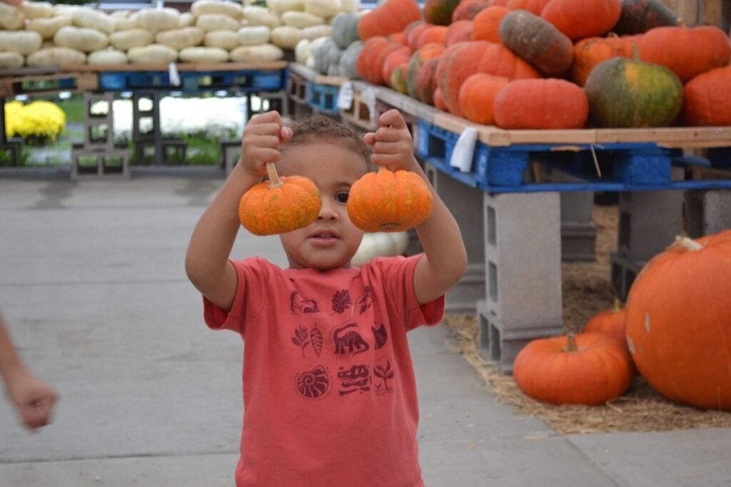 Miles Quinones, 3, proudly shows off his pumpkins. Staff photo by Stephanie Hill