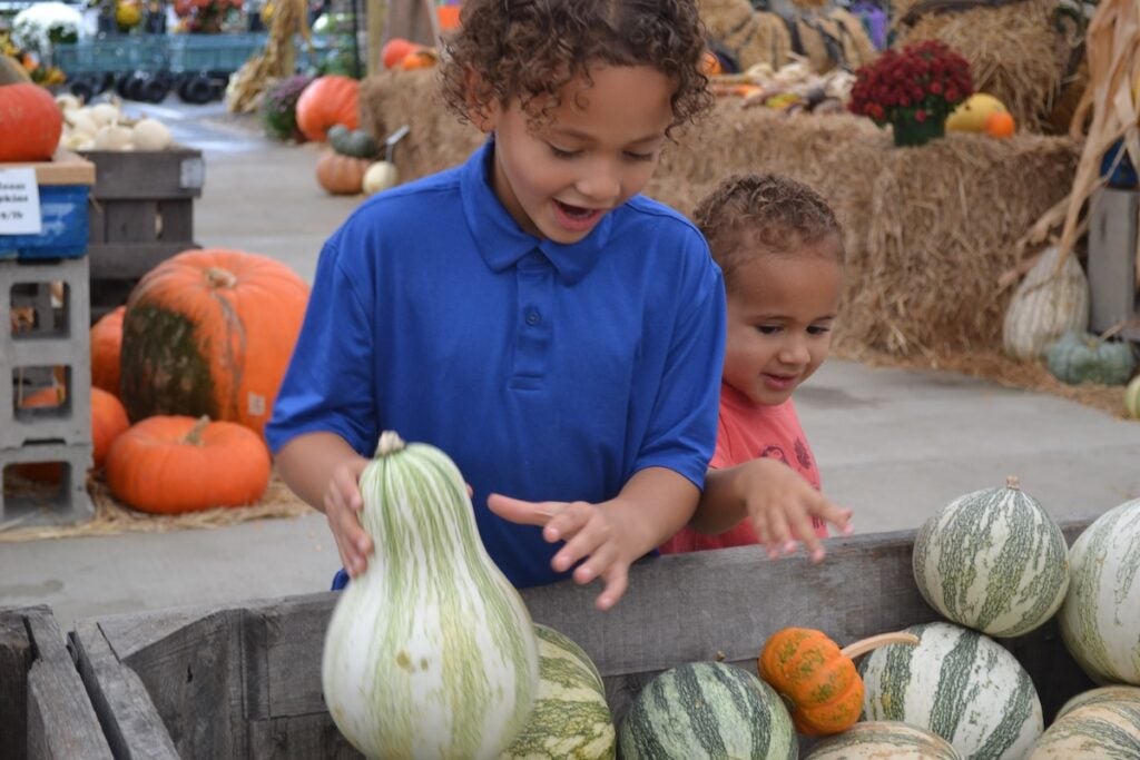 Jordan and Miles Quinones look at the different pumpkins at Good Earth. Staff photo by Stephanie Hill