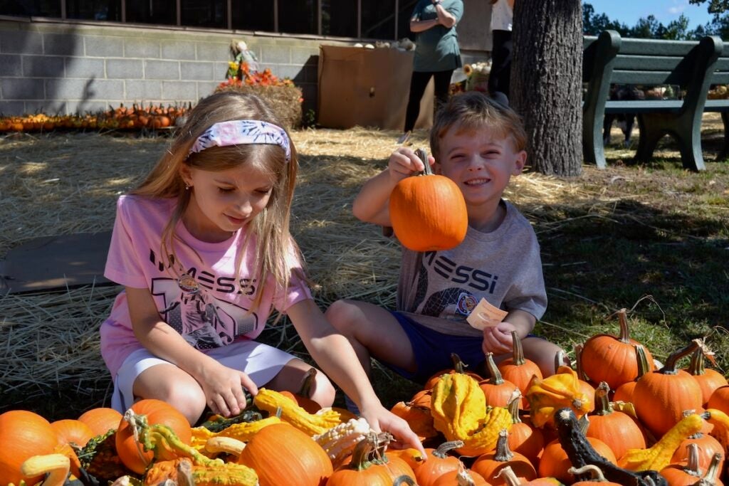 Charlotte and James Watson has fun looking at all the pumpkins at Marvin United Methodist Church.