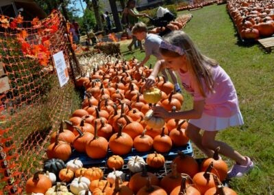 Charlotte and James Watson has fun looking at all the pumpkins at Marvin United Methodist Church.