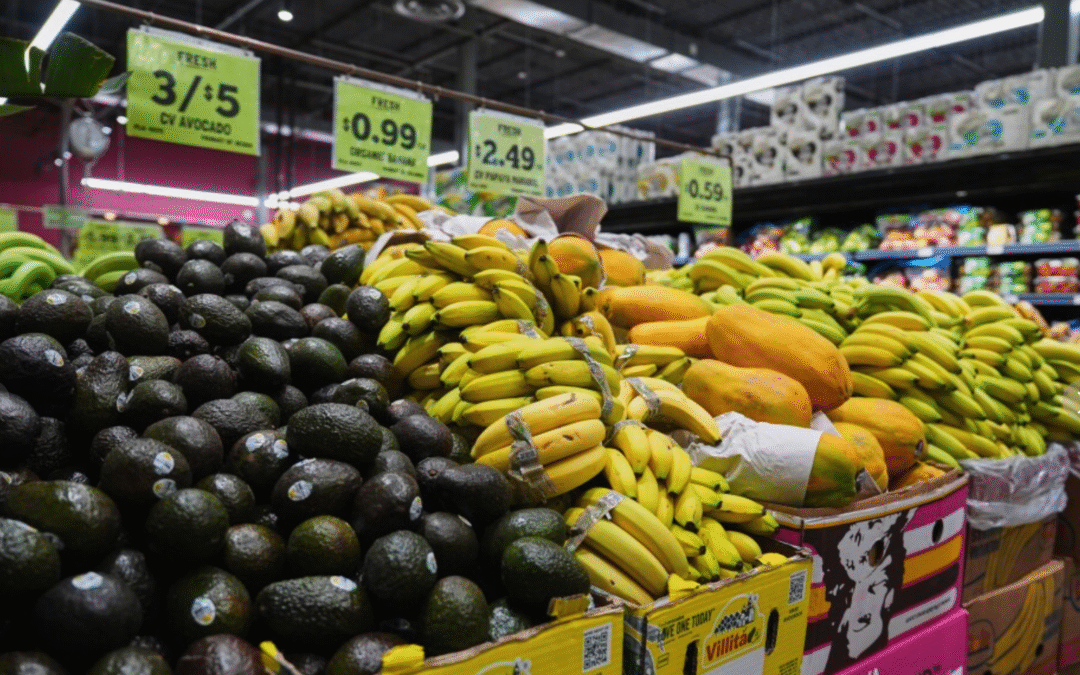 Screenshot 2025-11-01 at 2.08.03 AM