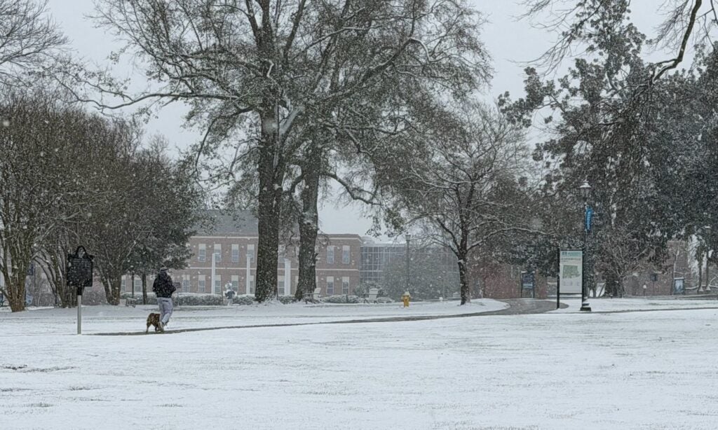 Our favorite snow photos from across the CSRA - The Augusta Press