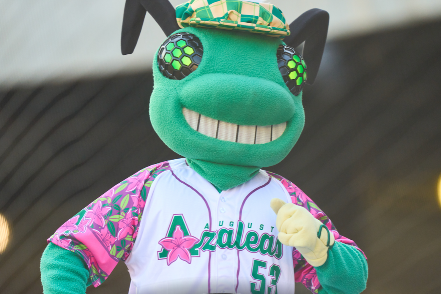 GreenJackets: Strikeouts, homers doom Azaleas in season debut