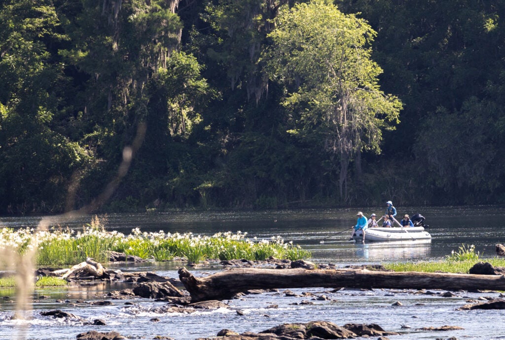 Phinizy Center research team works to protect rare rocky shoals