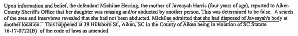 filing-a-false-report-Michilae-Herring-1024x126.png