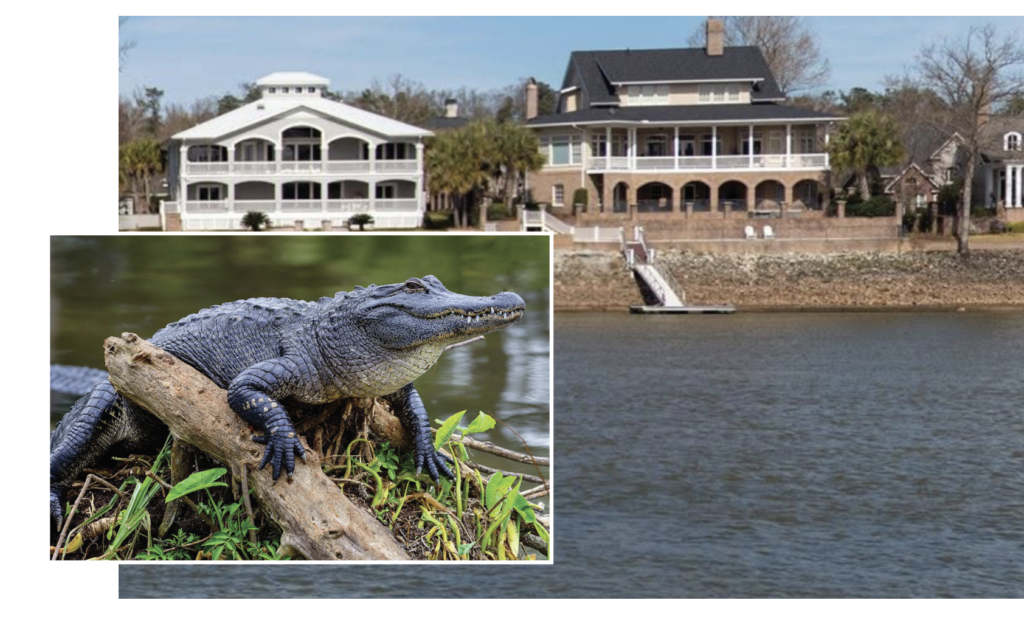 Ironman trainee escapes alligator attack in Savannah River